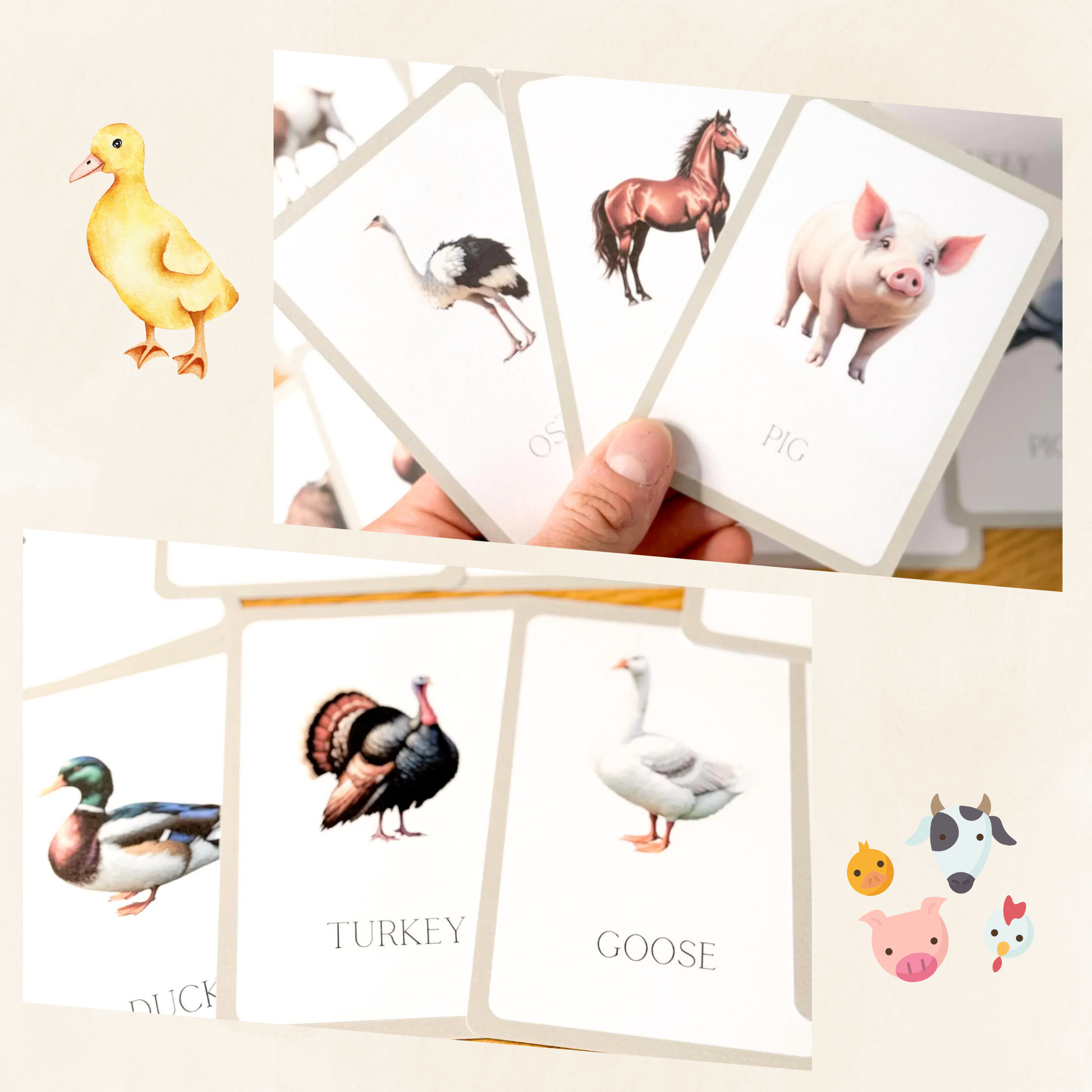 Farm Animals Flashcards Tiky Ink Studio Flashcards Tiky Ink Studio