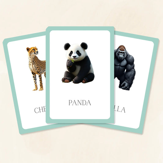 Wild Animals Flashcards Tiky Ink Studio Flashcards Tiky Ink Studio