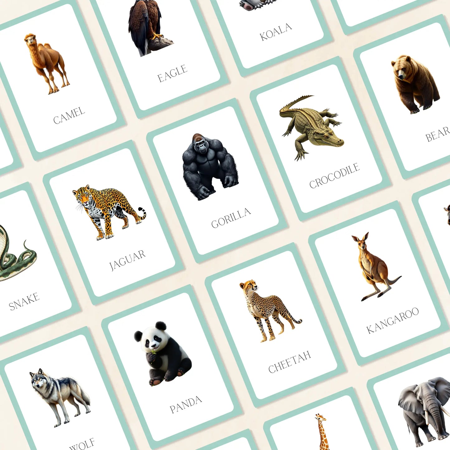 Wild Animals Flashcards Tiky Ink Studio Flashcards Tiky Ink Studio