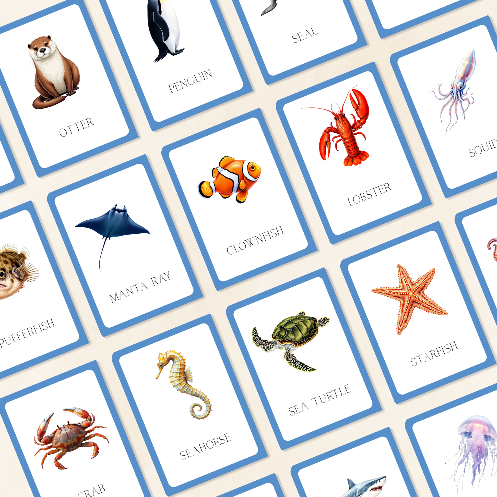 Aquatic Animals Flashcards Tiky Ink Studio Flashcards Tiky Ink Studio