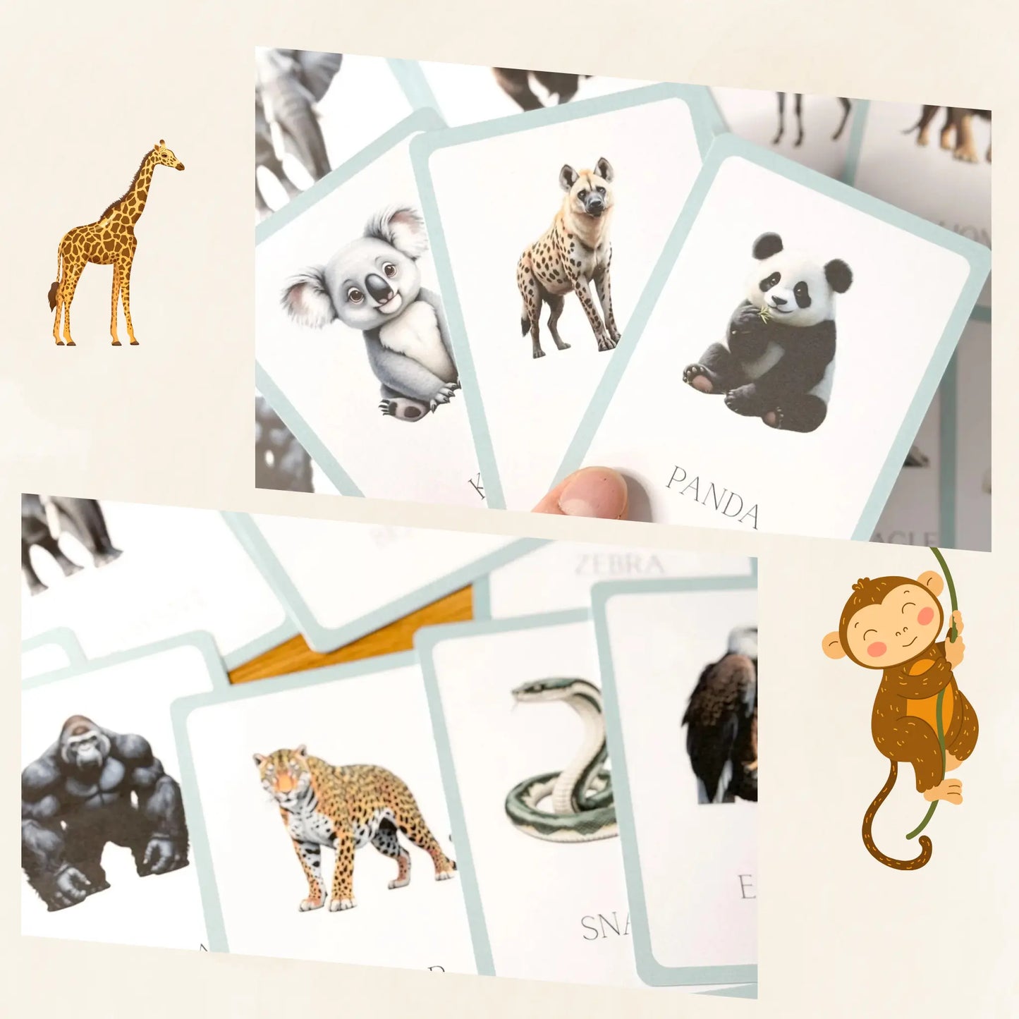 Wild Animals Flashcards Tiky Ink Studio Flashcards Tiky Ink Studio