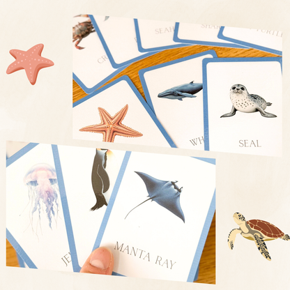 Aquatic Animals Flashcards Tiky Ink Studio Flashcards Tiky Ink Studio