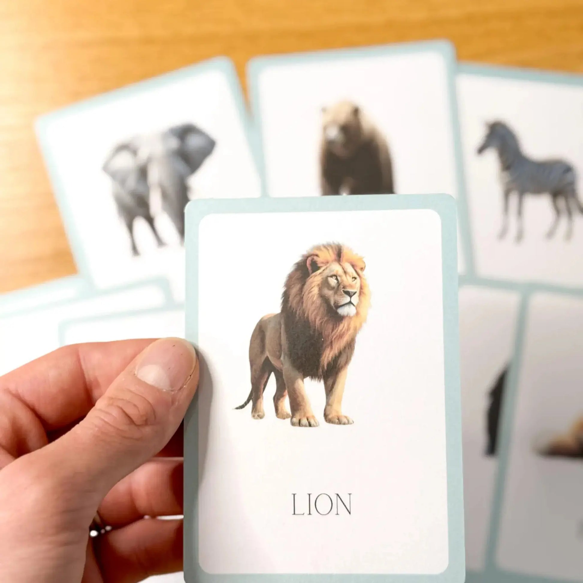 Wild Animals Flashcards Tiky Ink Studio Flashcards Tiky Ink Studio