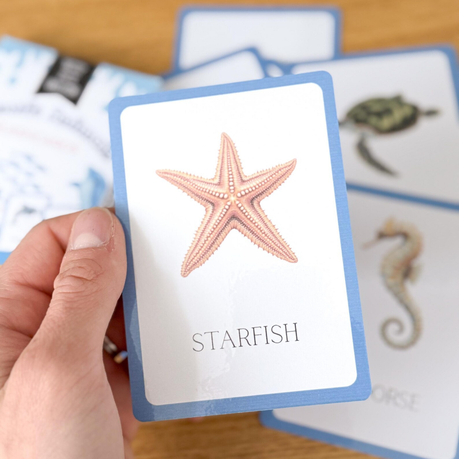 Aquatic Animals Flashcards Tiky Ink Studio Flashcards Tiky Ink Studio