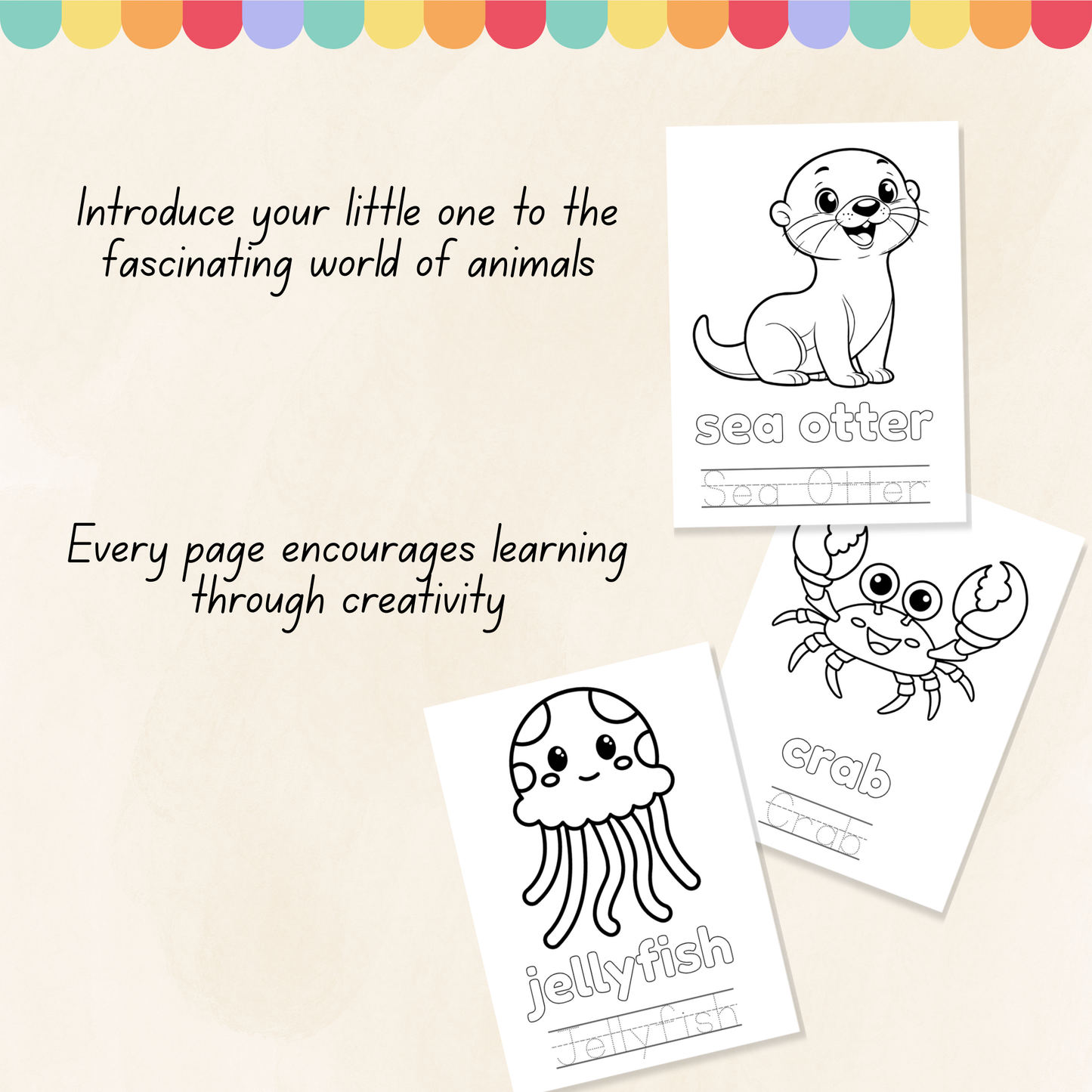 Arctic & Sea Animals Colouring Book