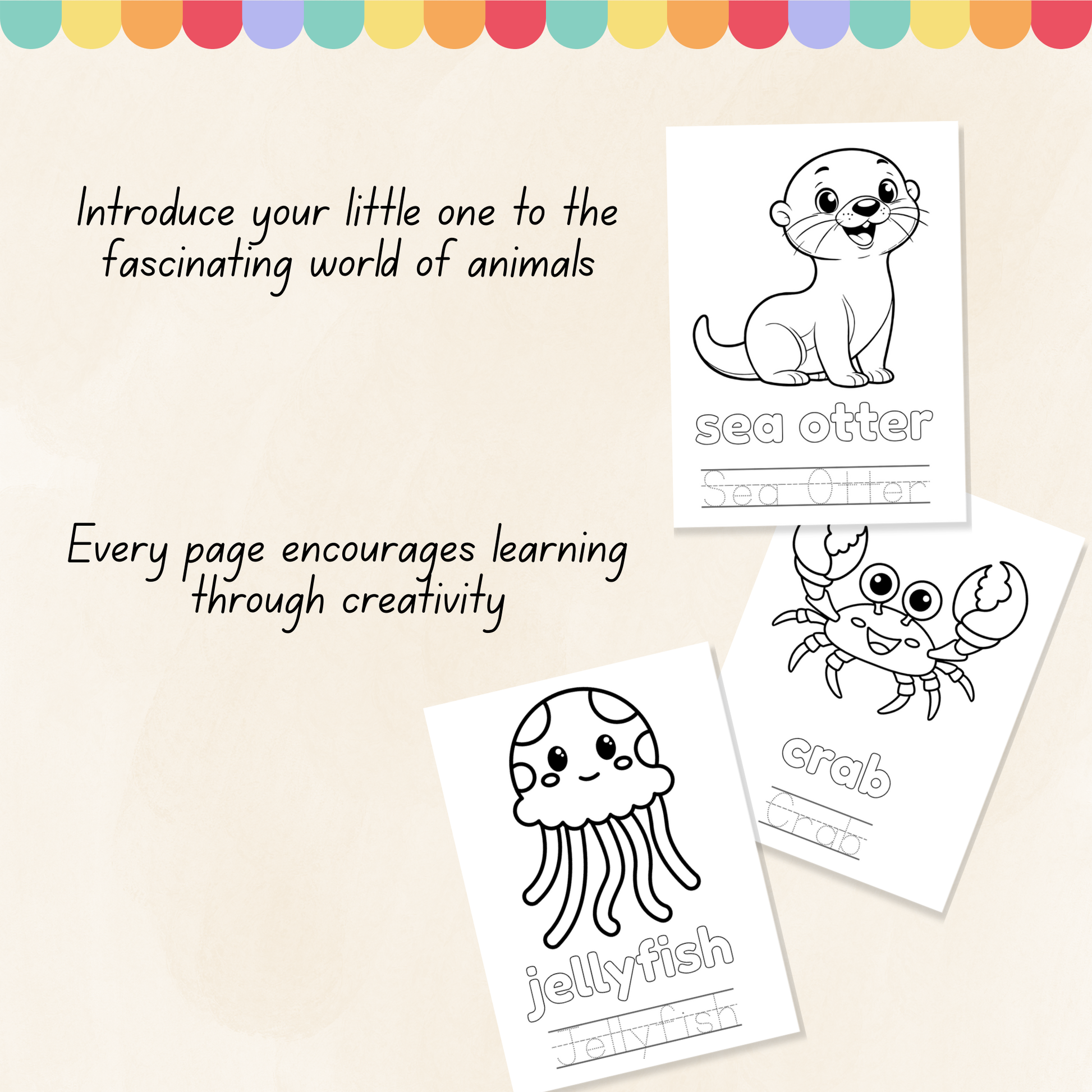 Arctic & Sea Animals Colouring Book