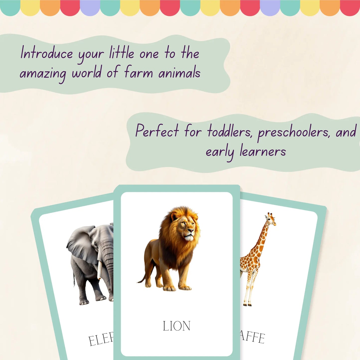 Wild Animals Flashcards Tiky Ink Studio Flashcards Tiky Ink Studio