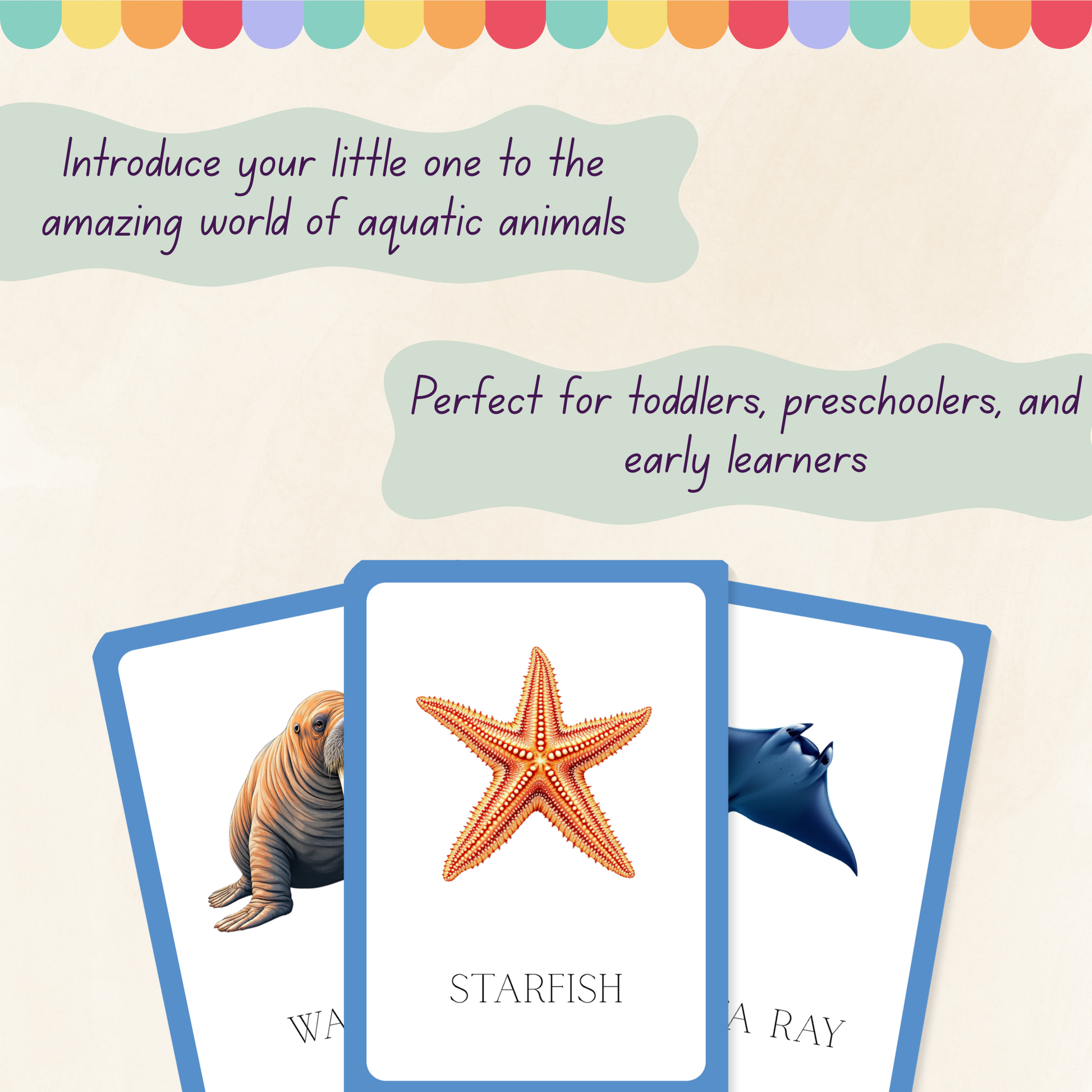 Aquatic Animals Flashcards Tiky Ink Studio Flashcards Tiky Ink Studio