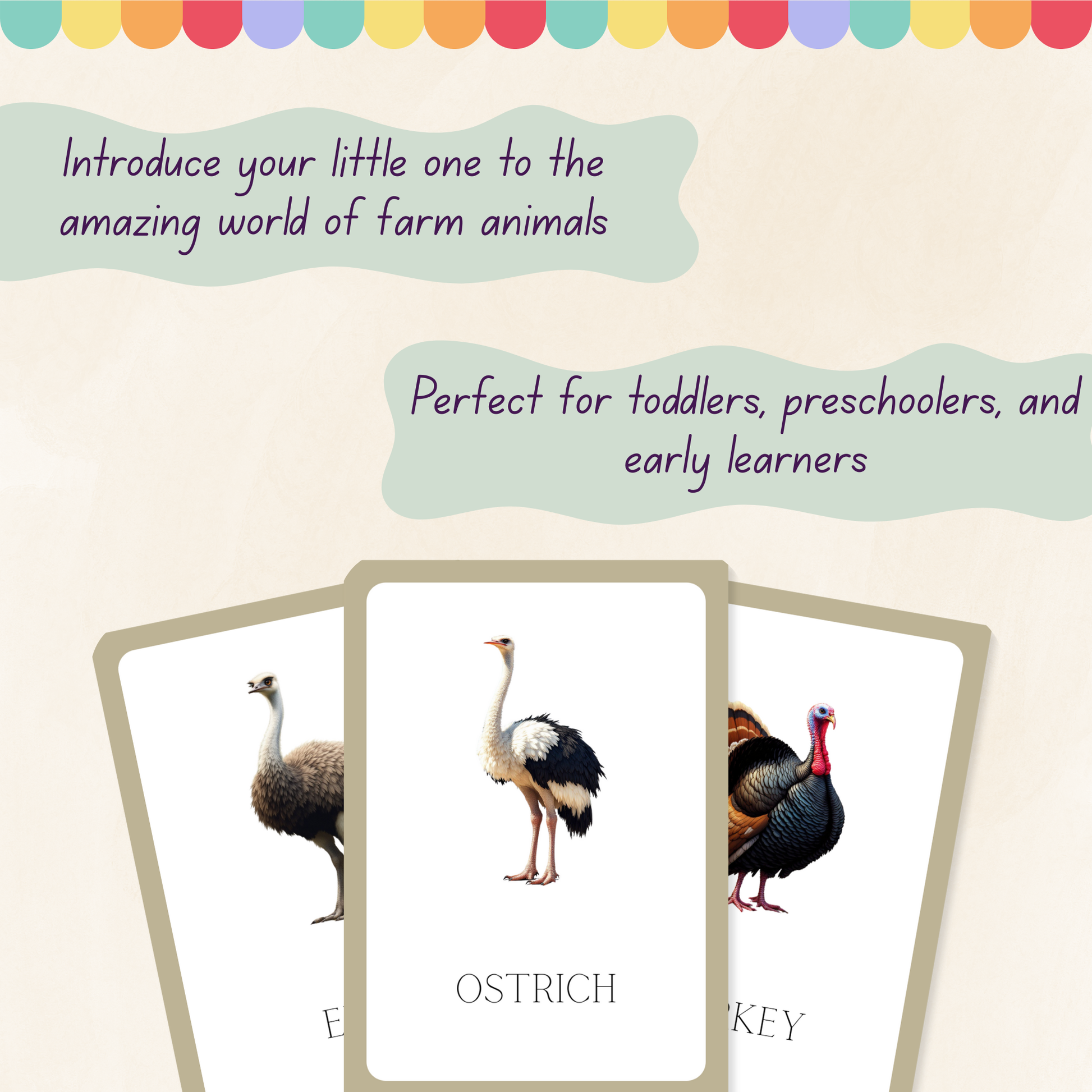 Farm Animals Flashcards Tiky Ink Studio Flashcards Tiky Ink Studio