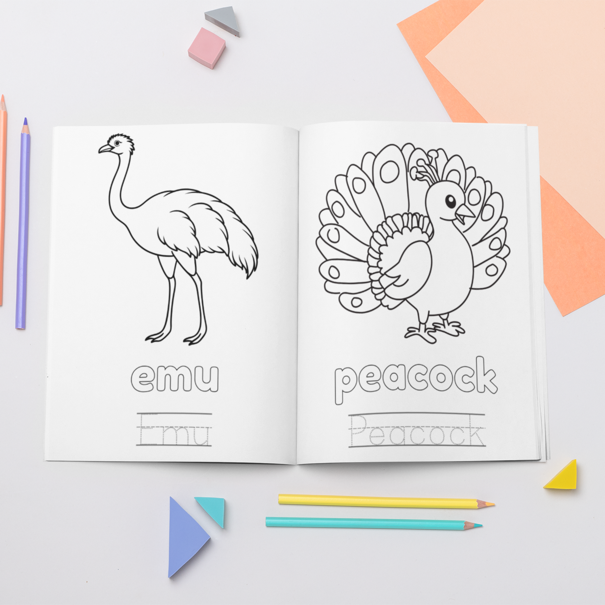 Farm Animals Colouring Book